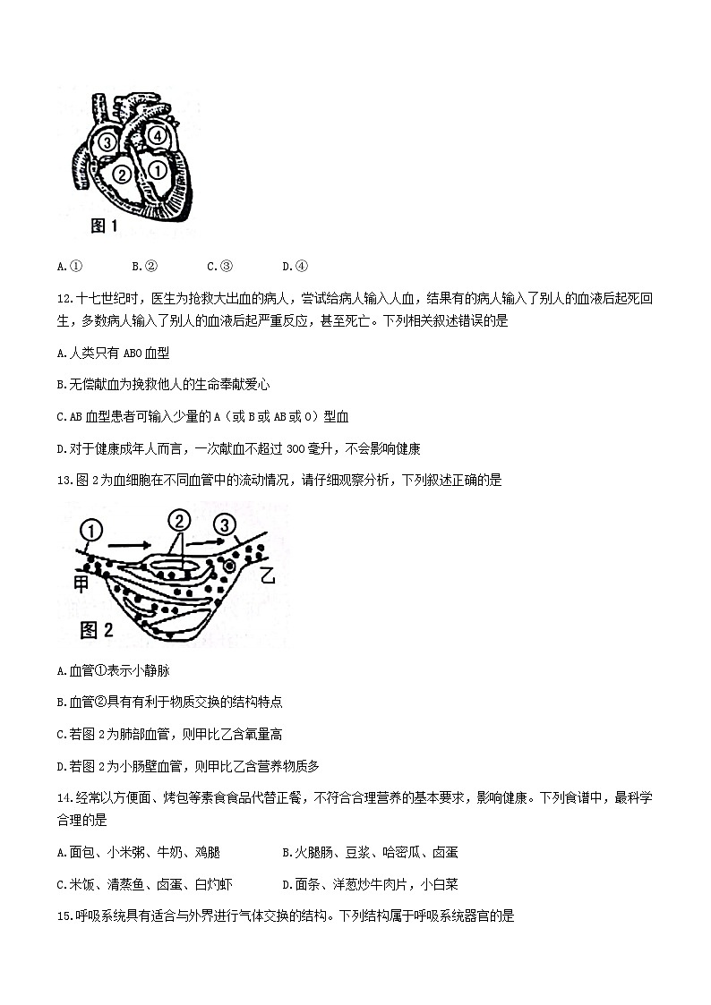 广西壮族自治区贺州市昭平县2022-2023学年七年级下学期期中生物试题（含答案）03