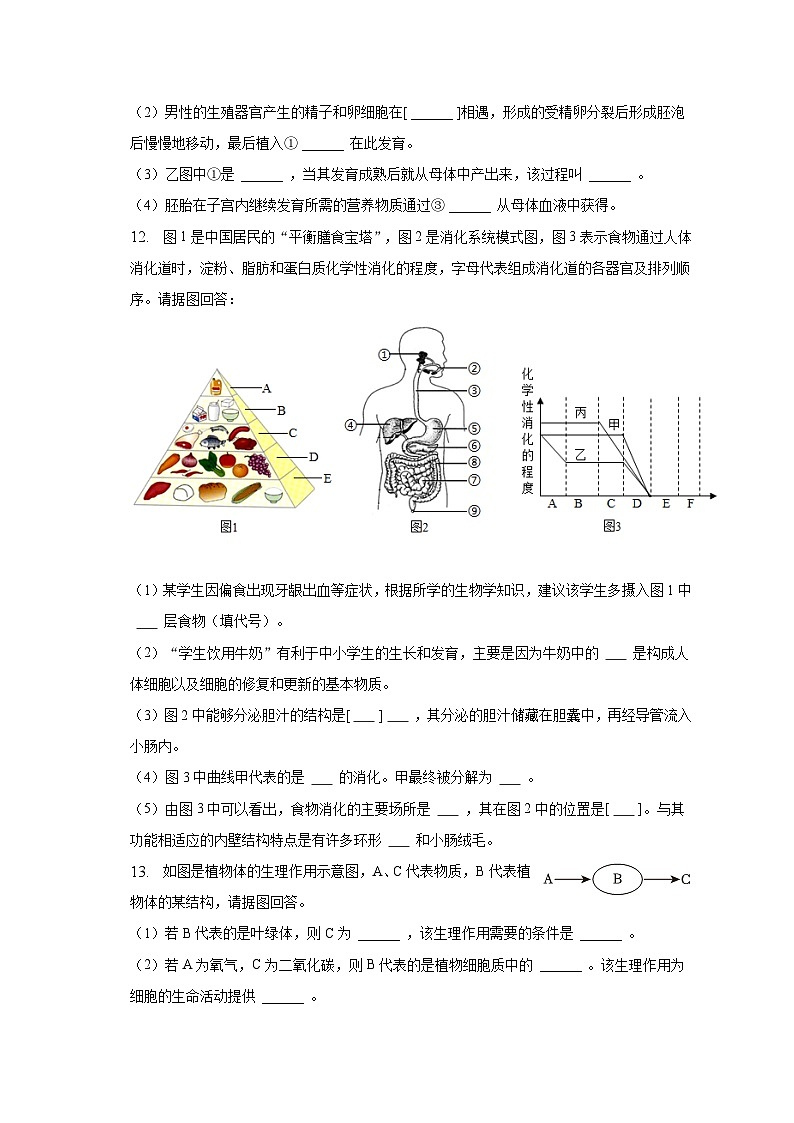 湖北省咸宁市通城县2022-2023学年七年级下学期期中生物试卷（含答案）第3页