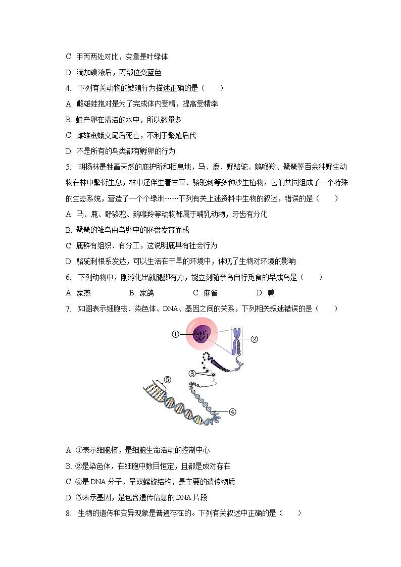 安徽省滁州市天长市教育集团2022-2023学年八年级下学期期中生物试卷（含答案）第2页