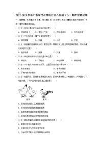 广东省茂名市电白区2022-2023学年八年级下学期期中生物试卷（含答案）