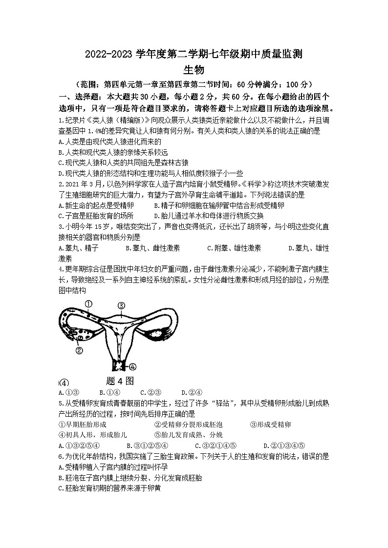广东省阳江市江城区2022-2023学年七年级下学期期中生物试题01