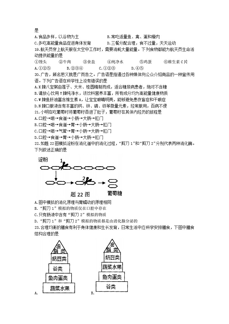 广东省阳江市江城区2022-2023学年七年级下学期期中生物试题03
