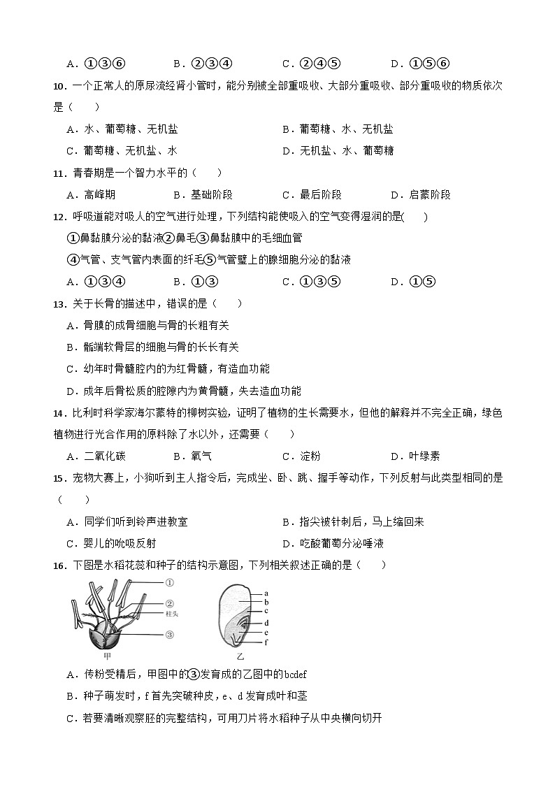 临考押题卷02-2023年中考生物临考押题卷（深圳卷）03