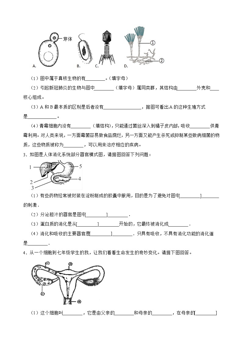 专练06（能力闯关综合40题）-备战2023年中考生物考前必杀200题（广东专用）02