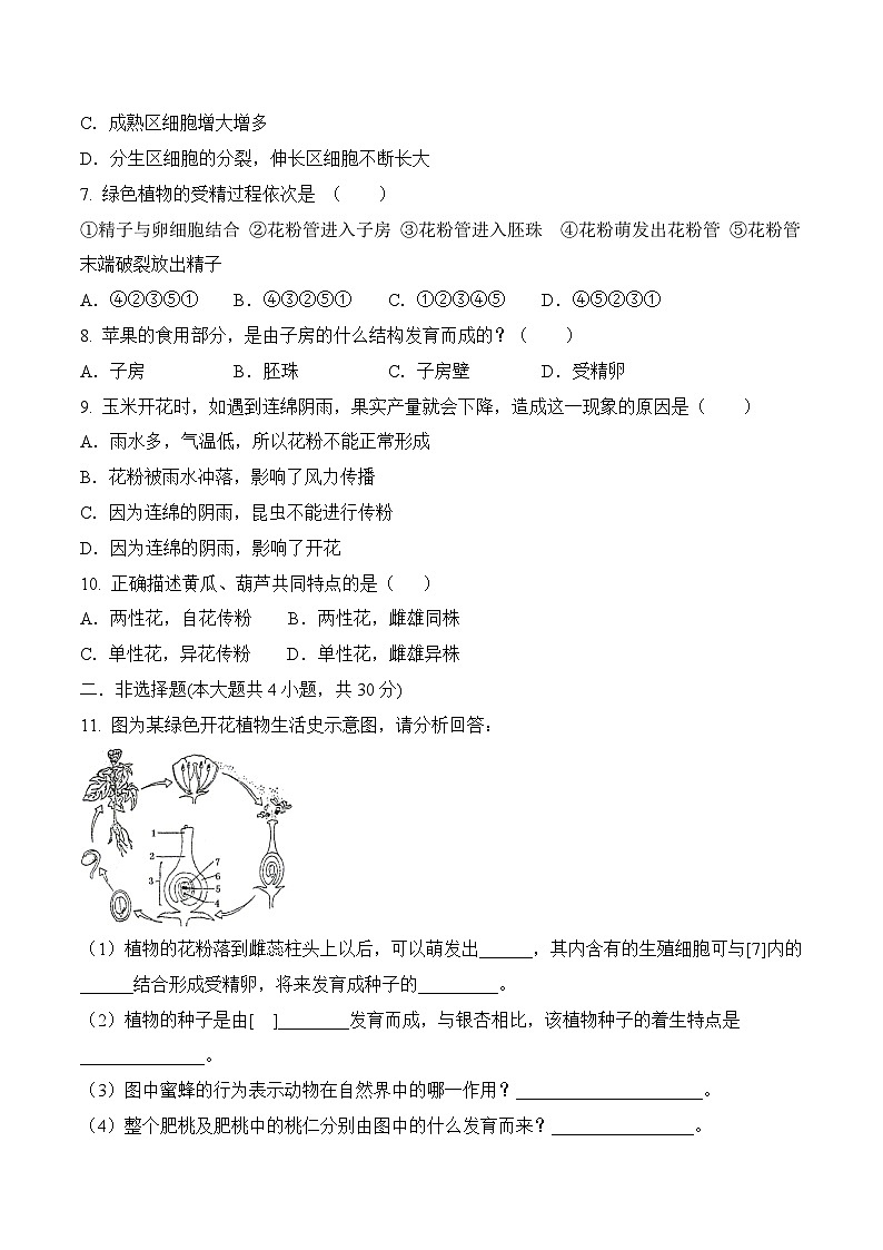 2023年中考生物三轮复习必刷题  专题04 绿色植物的一生02