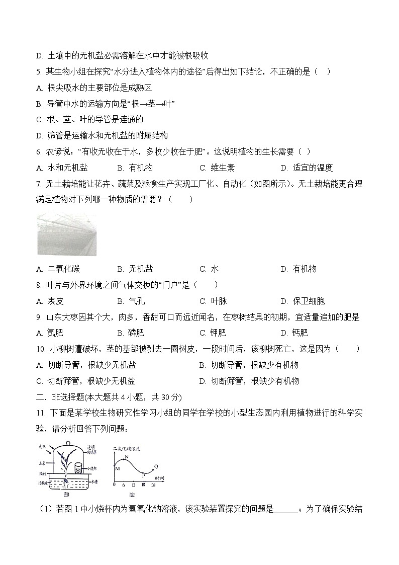 专题05 绿色植物的生活需要水和无机盐-中考生物三轮复习必刷题（原卷版）第2页
