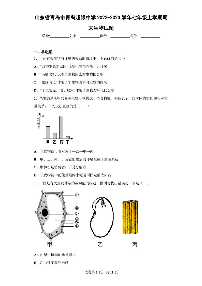 山东省青岛市青岛超银中学2022-2023学年七年级上学期期末生物试题(含答案)第1页