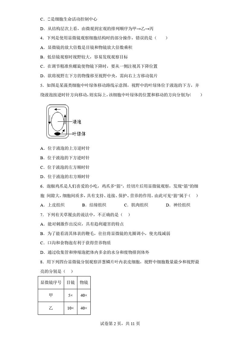 山东省青岛市青岛超银中学2022-2023学年七年级上学期期末生物试题(含答案)第2页