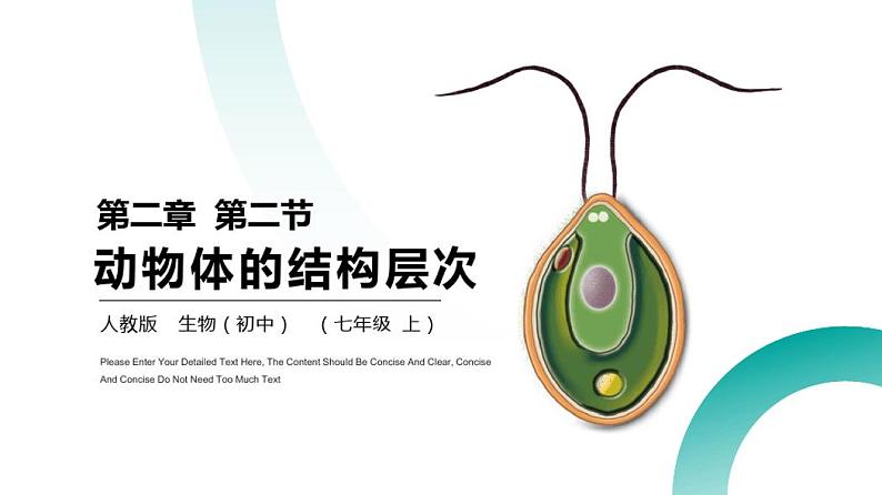 人教版七年级生物上册第二单元第二章2动物体的结构层次01