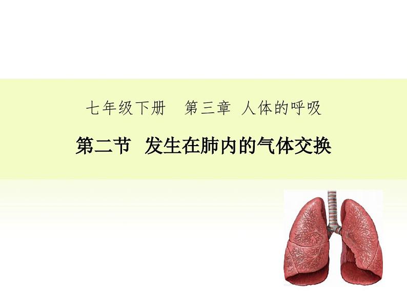 4.3.2发生在肺内的气体交换1课件2020-2021学年人教版七年级生物下册第1页
