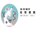 人教版七年级生物上册第二单元第一章3动物细胞