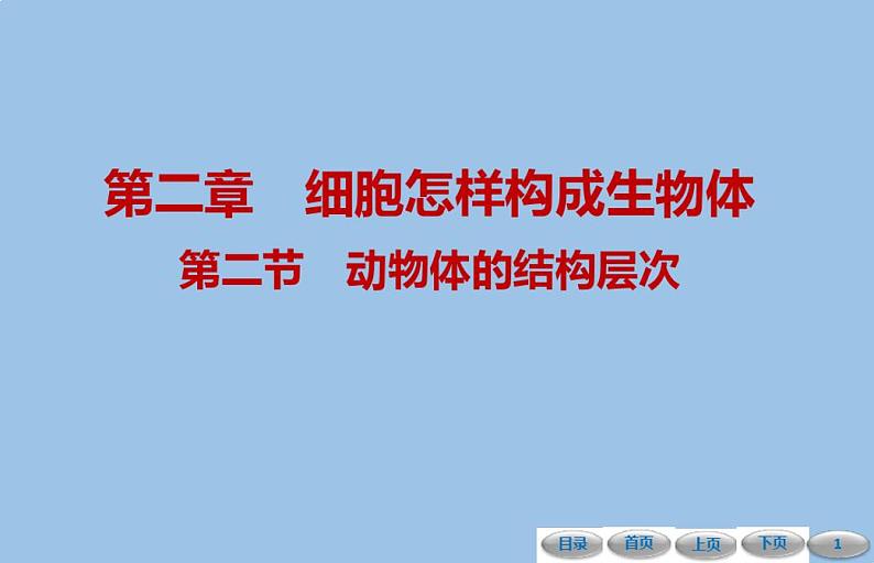 2.2细胞怎样构成生物体第二节动物体的结构层次课件人教版七年级生物上册01