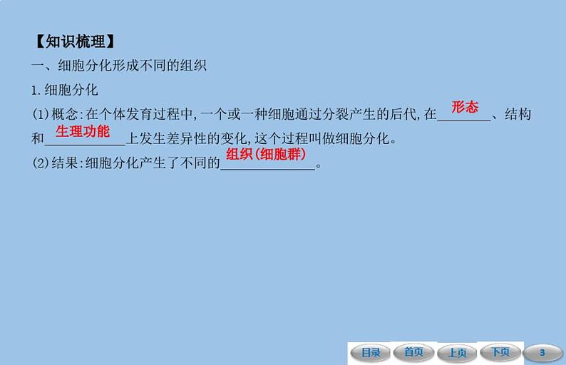 2.2细胞怎样构成生物体第二节动物体的结构层次课件人教版七年级生物上册03