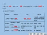 2.2细胞怎样构成生物体第二节动物体的结构层次课件人教版七年级生物上册