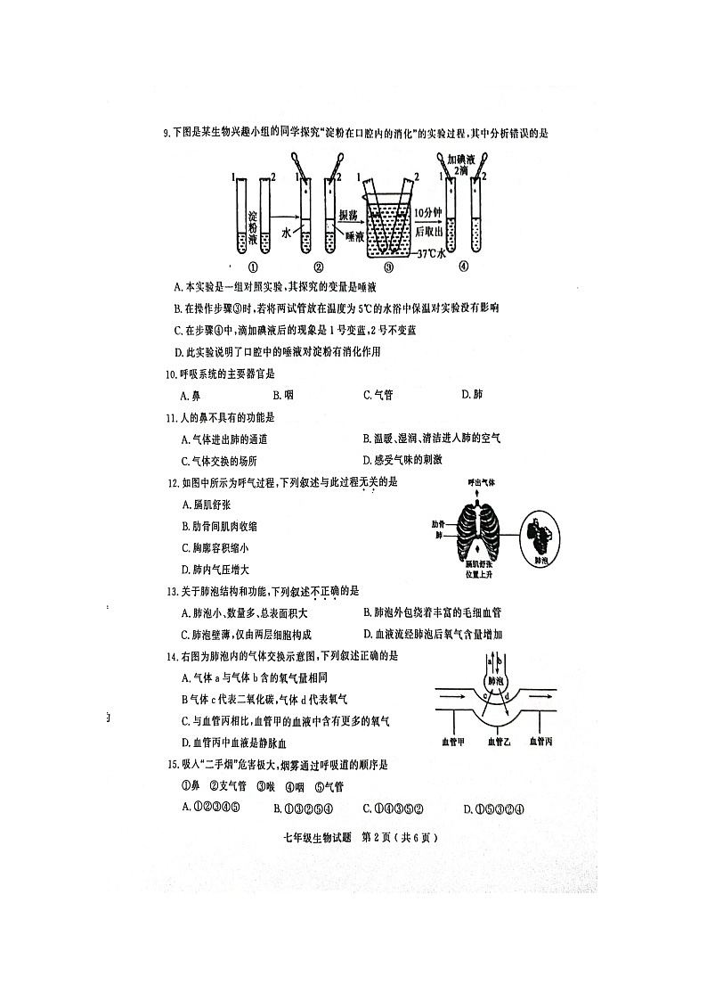 山东省聊城市冠县2022-2023学年七年级下学期期中生物试题02