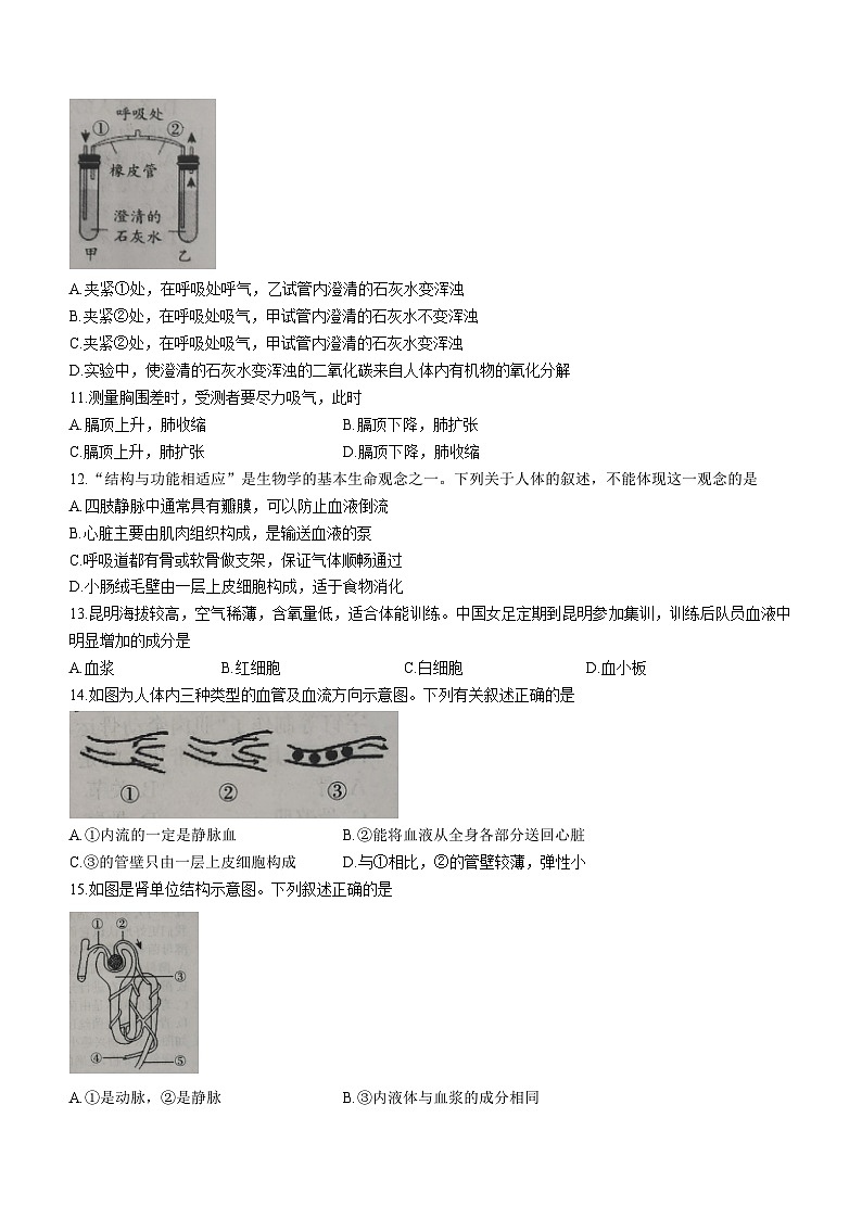 2023年山东省济宁市泗水县八年级一模生物试题（含答案）03
