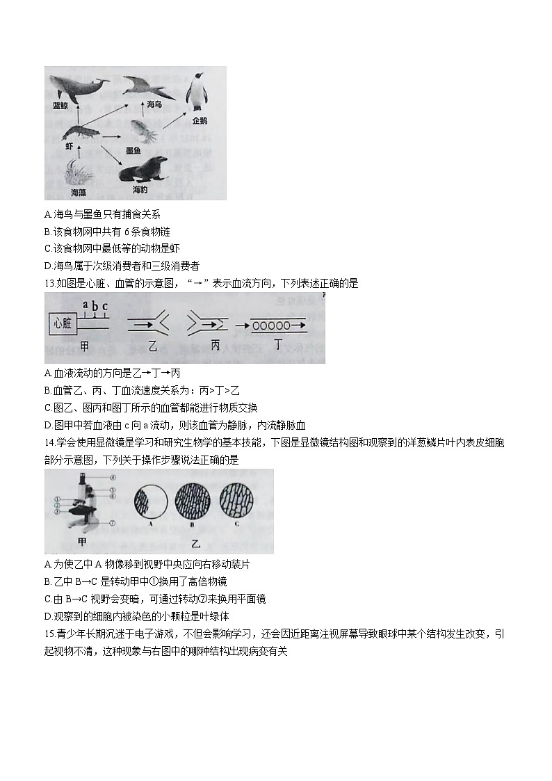 2023年山东省乐陵市中考一模生物试题（含答案）03