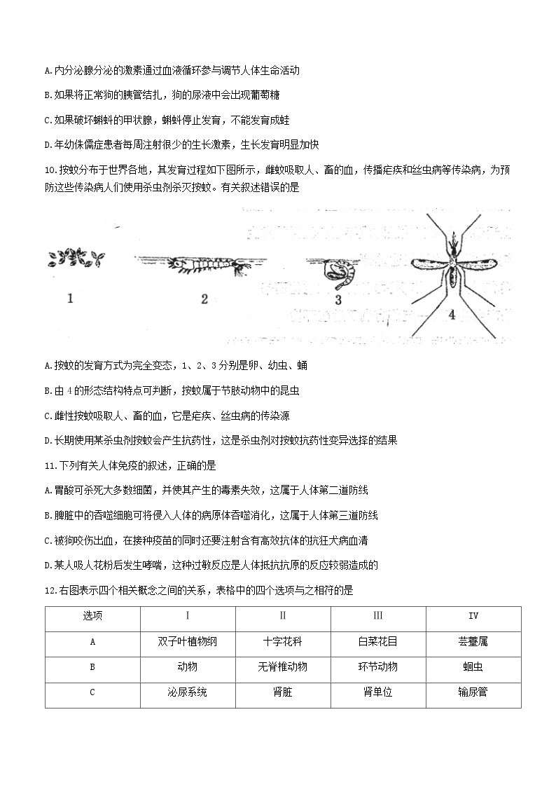 2023年山东省泰安市泰山区中考一模生物试题（含答案）03