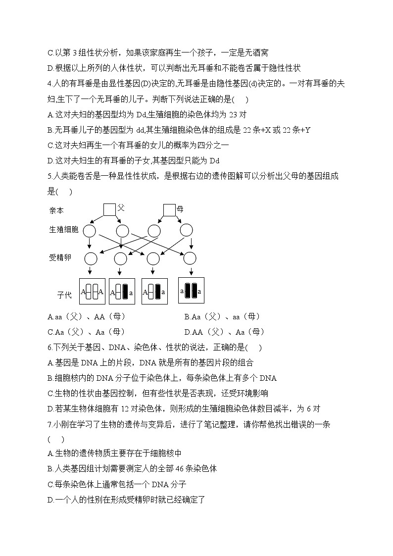 冀少版生物八年级下册单元检测卷 第六单元第二章 生物的遗传和变异（测能力）02