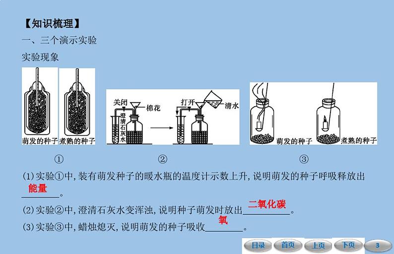 3.5绿色植物与生物圈中的碳—氧平衡第二节绿色植物的呼吸作用课件-人教版七年级生物上册03