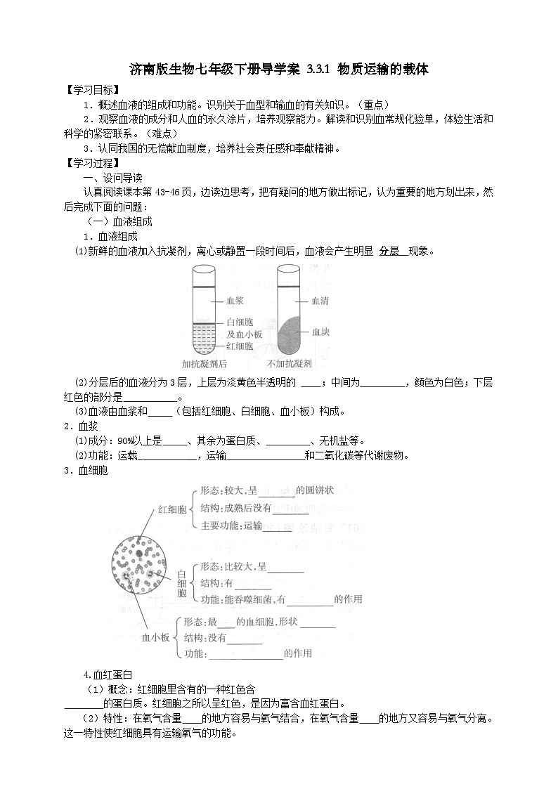 济南版生物七年级下册导学案 3.3.1 物质运输的载体第1页