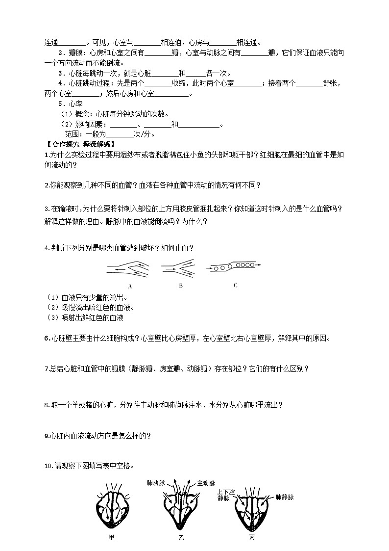 济南版生物七年级下册导学案 3.3.2 物质运输的器官02