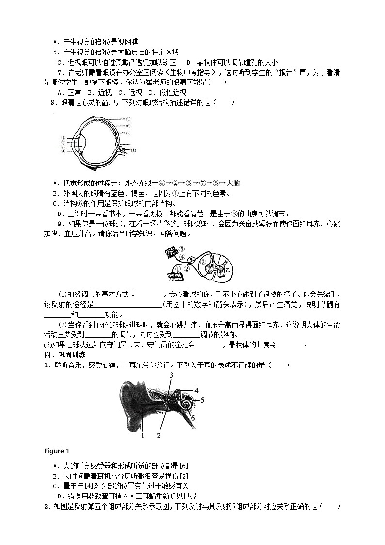 济南版生物七年级下册导学案 3.5.4人体对周围世界的感知03