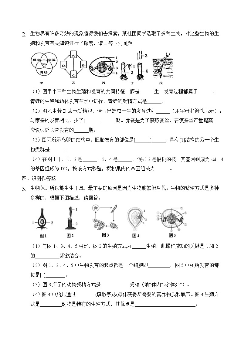 2023年中考生物三轮复习必刷题  专题13 动物的生殖与发育02