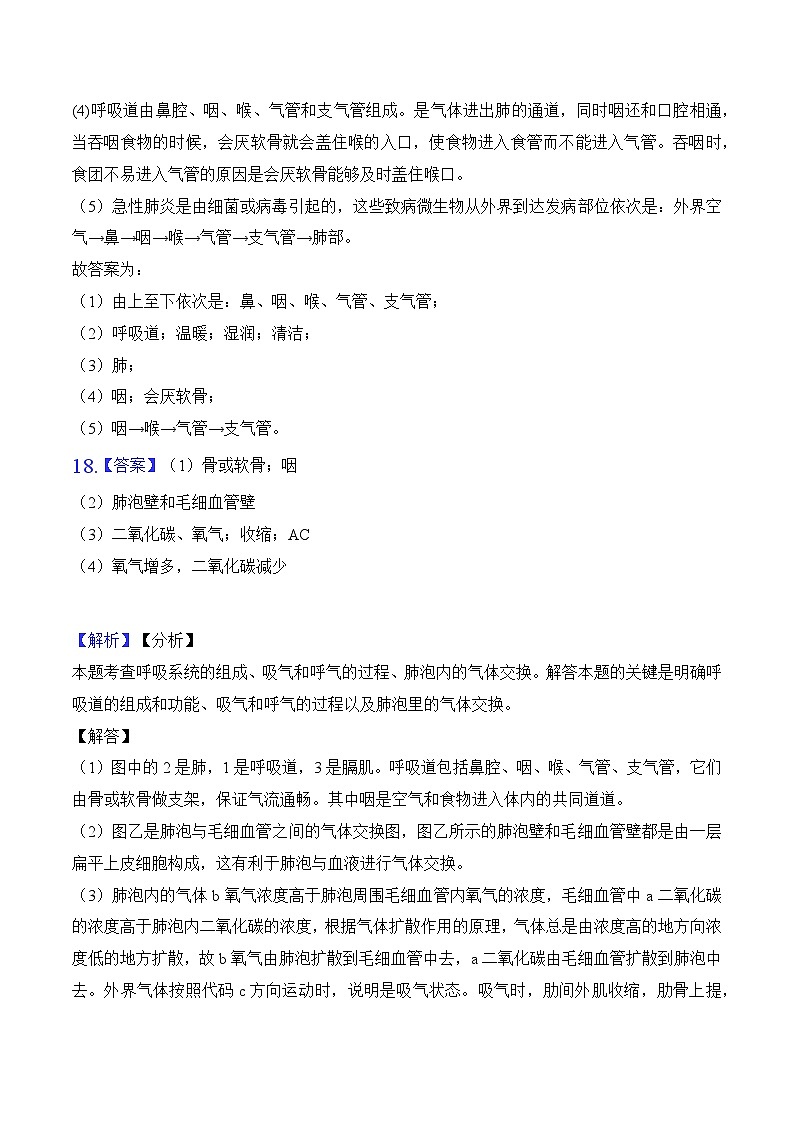 专题09 人体的呼吸-中考生物三轮复习必刷题（解析版）第3页
