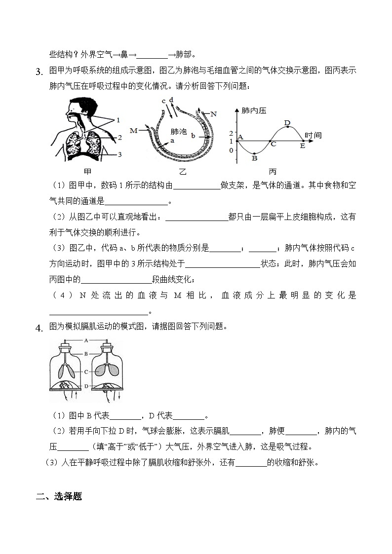 专题09 人体的呼吸-中考生物三轮复习必刷题（原卷版）第3页