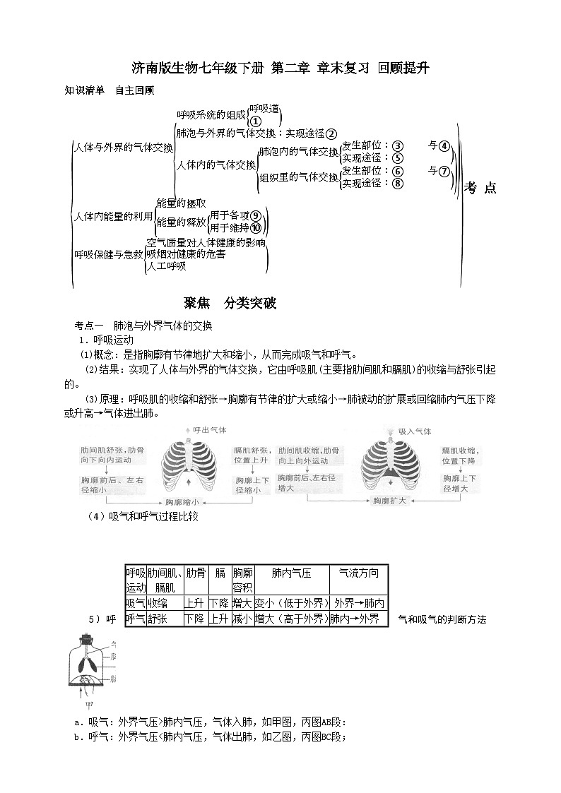 济南版生物七年级下册 第二章 章末复习 回顾提升 学案01