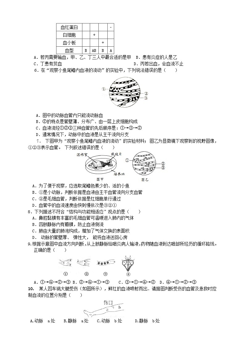 济南版生物七年级下册  第三章 章末复习 回顾提升 学案03
