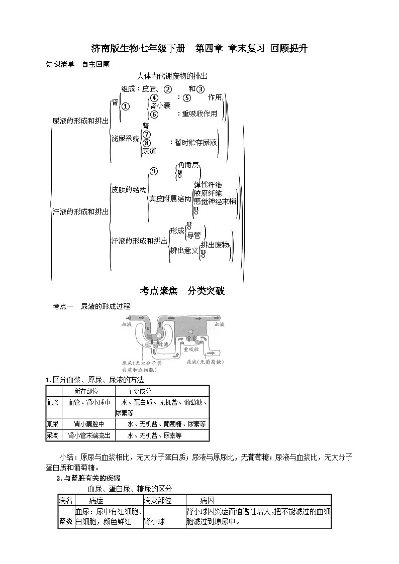 济南版生物七年级下册  第四章 章末复习 回顾提升 学案01