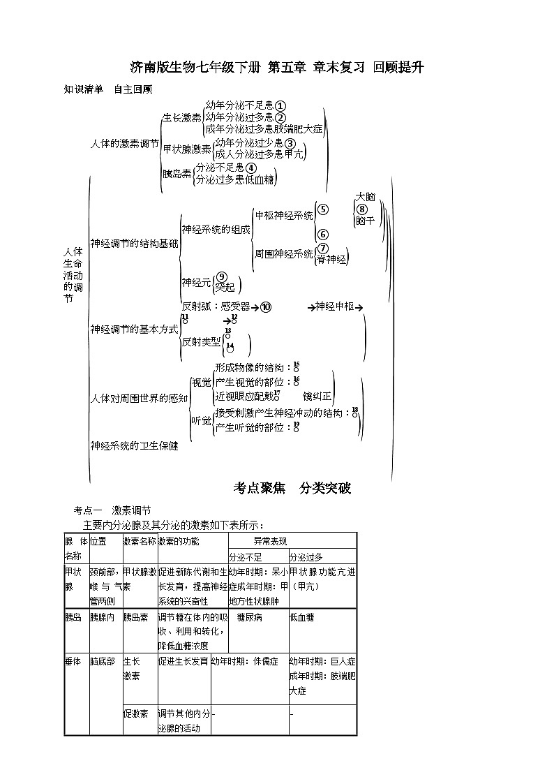 济南版生物七年级下册 第五章 章末复习 回顾提升 学案01