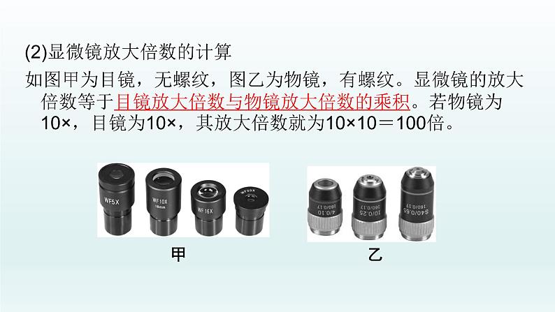 初中生物中考复习 第3课  显微镜的使用 2021届中考复习生物课件第7页