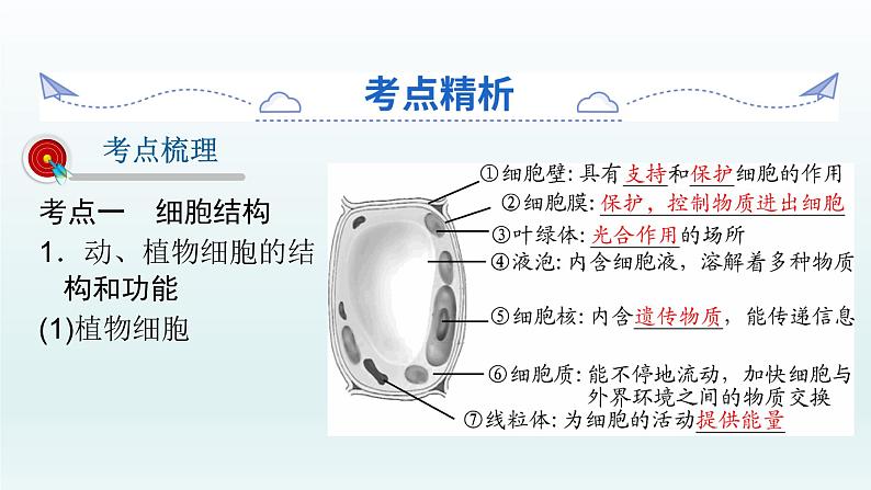 初中生物中考复习 第4课 生物体的结构层次  2021届中考复习生物课件第2页