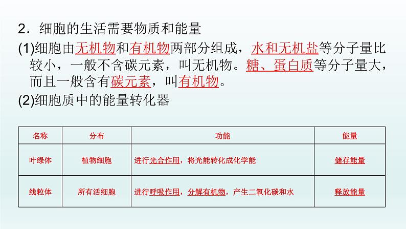 初中生物中考复习 第4课 生物体的结构层次  2021届中考复习生物课件第5页