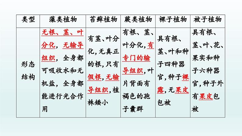 初中生物中考复习 第5课 生物圈中有哪些绿色植物 2021届中考复习生物课件03