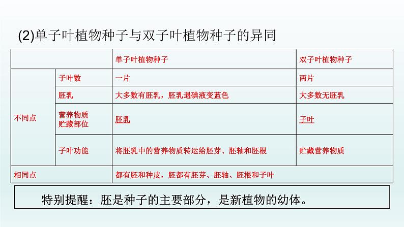 初中生物中考复习 第6课 被子植物的一生   2021届中考复习生物课件05