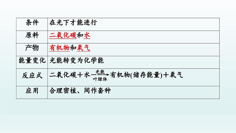 初中生物中考复习 第8课 绿色植物的光合作用 与呼吸作用 2021届中考复习生物课件03