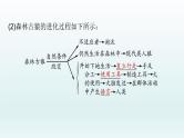 初中生物中考复习 第9课 人的由来  2021届中考复习生物课件