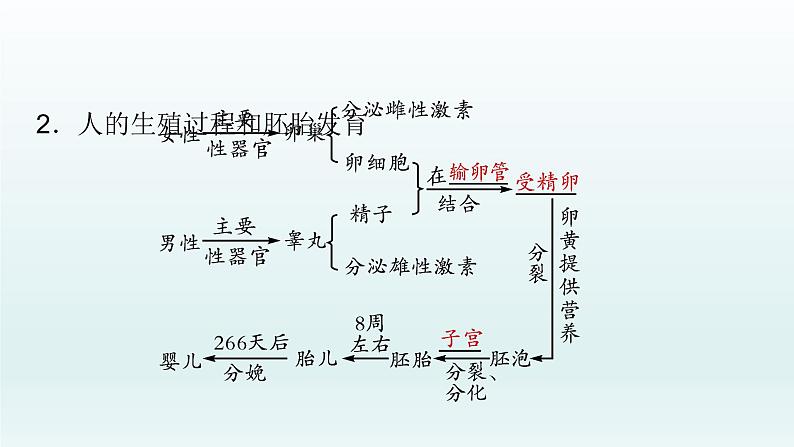 初中生物中考复习 第9课 人的由来  2021届中考复习生物课件07