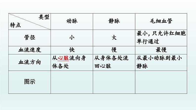 初中生物中考复习 第12课 人体内物质的运输  2021届中考复习生物课件08