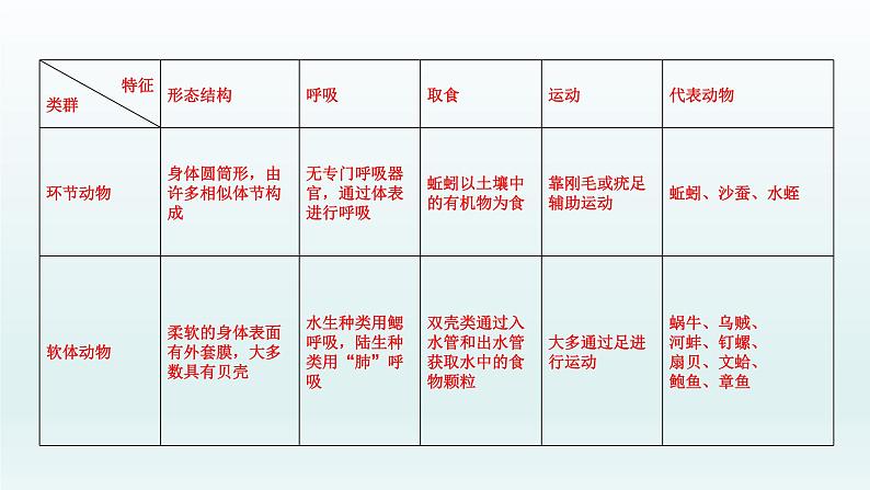 初中生物中考复习 第15课 动物的主要类群   2021届中考复习生物课件04