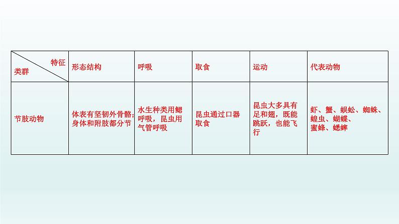 初中生物中考复习 第15课 动物的主要类群   2021届中考复习生物课件05