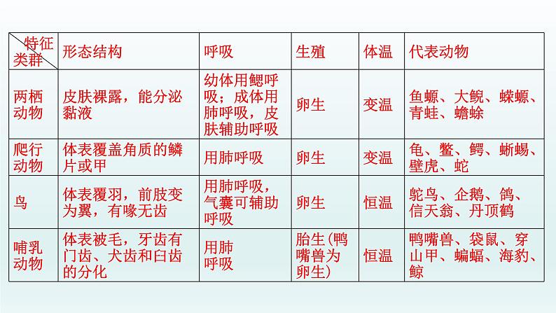 初中生物中考复习 第15课 动物的主要类群   2021届中考复习生物课件08