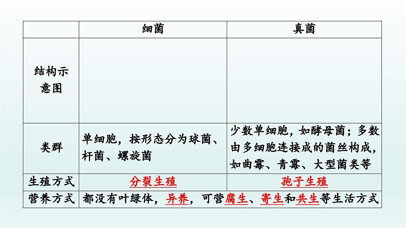 初中生物中考复习 第17课 2021届中考复习生物课件第6页