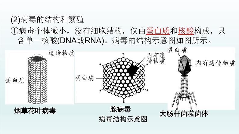 初中生物中考复习 第17课 2021届中考复习生物课件第8页