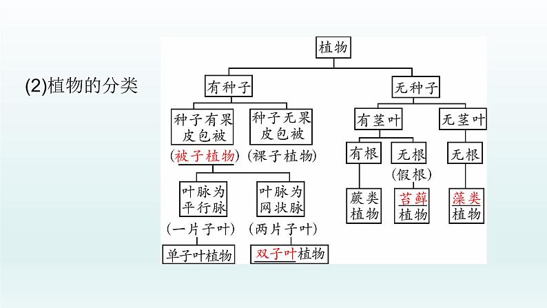 初中生物中考复习 第18课 2021届中考复习生物课件03