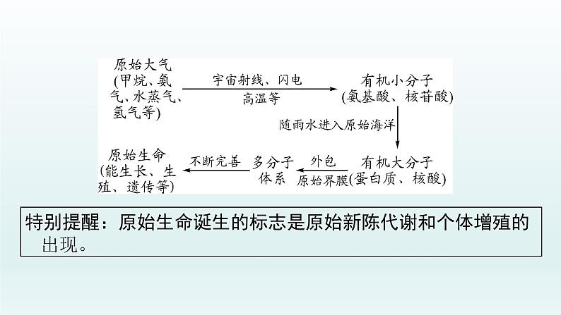 初中生物中考复习 第21课 2021届中考复习生物课件03